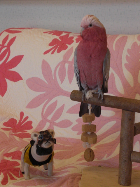 ミントと寅の置物