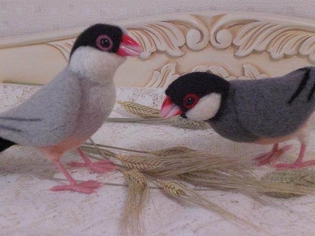 文鳥