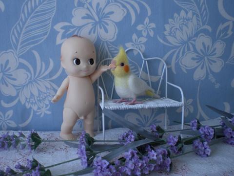 オカメインコ・ルチノー