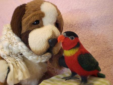 keitaベアとヨダレカケズグロインコ