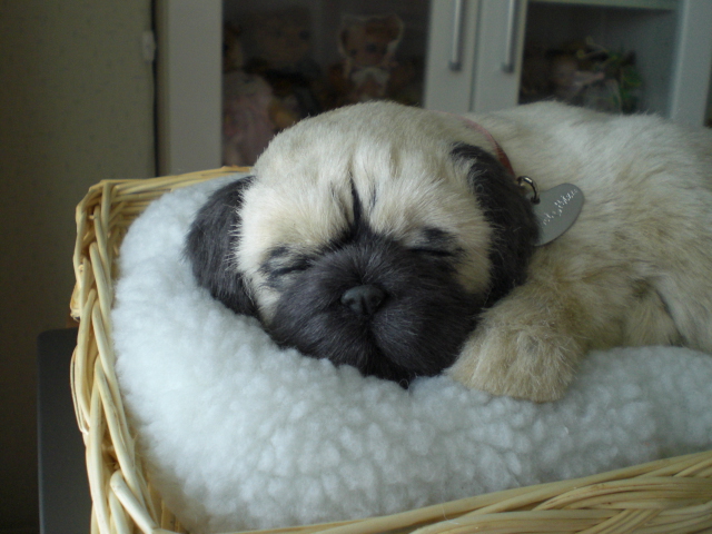 パーフェクトペットのパグのぬいぐるみ