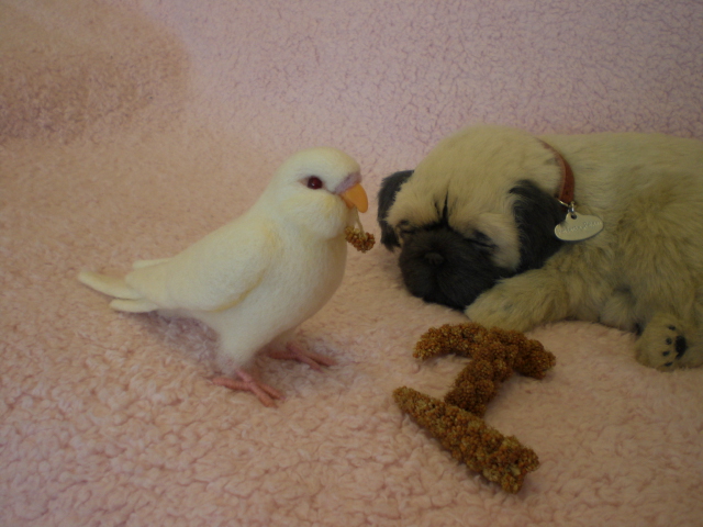 粟穂食べませんか？