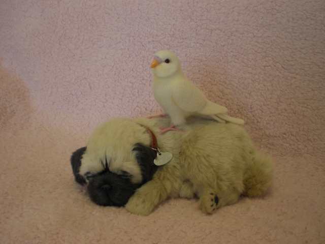 お腹が動くよ！