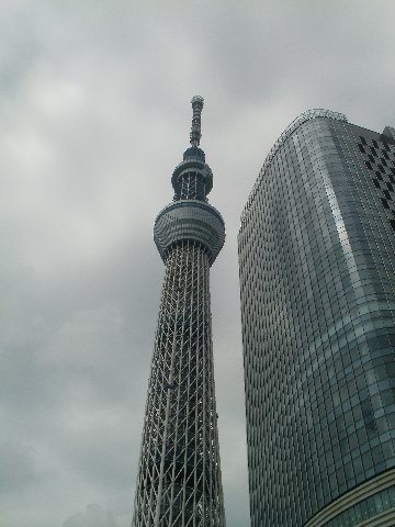 skytree(押上交番側).jpg