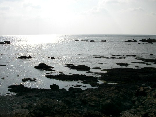 DSCN2689.JPG