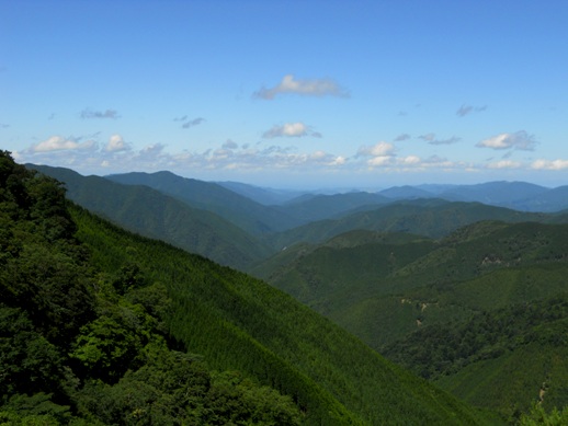 DSCN0536.JPG