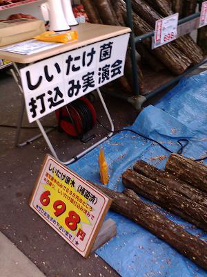 しいたけ菌打込み実演会.JPG