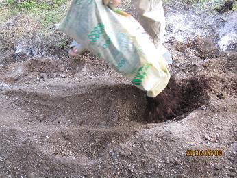 畑の開墾6たい肥散布.JPG