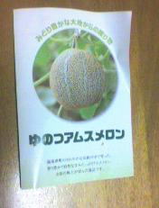 メロンチラシ