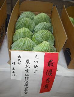 キャベツ最優秀賞