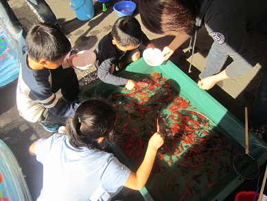 金魚すくい.jpg
