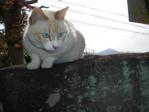 IMGP3459.JPG
