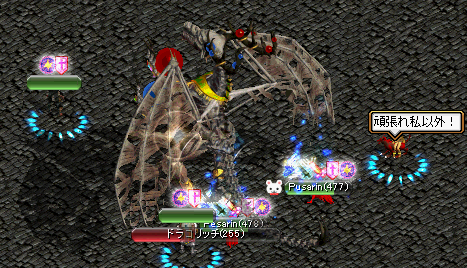 ドラコリッチ５