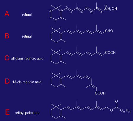 retinoid(450).jpg