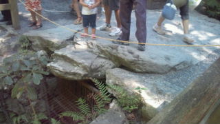 20100911115218.jpg