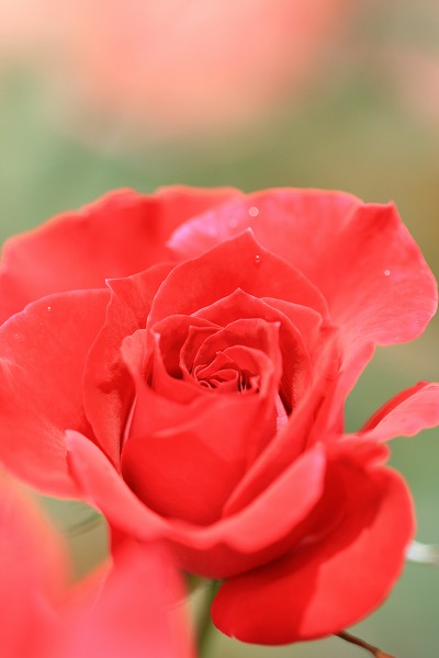 IMG_4500.jpg