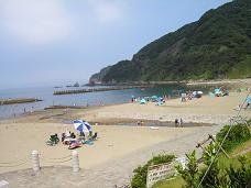海