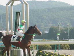 これから競走馬として生きていくんだね