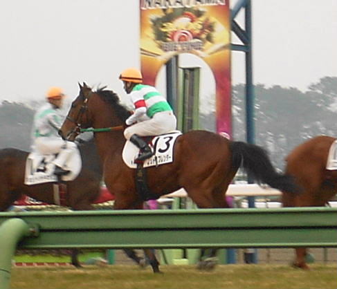 レッドと大西騎手、頼もしい後姿！