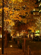 DSC00938.JPG