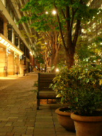 DSC02428.JPG