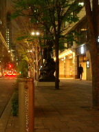 DSC02434.JPG