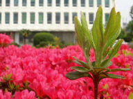 DSC08715.JPG