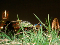 DSC00058.JPG
