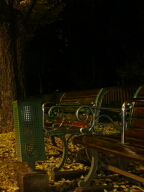 DSC01170.JPG