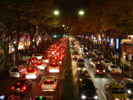 DSC01557.JPG
