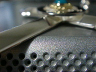 DSC00535.JPG