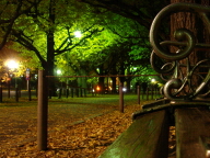 DSC01773.jpg