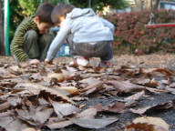 DSC00539.jpg