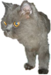 あら？ｱﾀﾁの事ね～