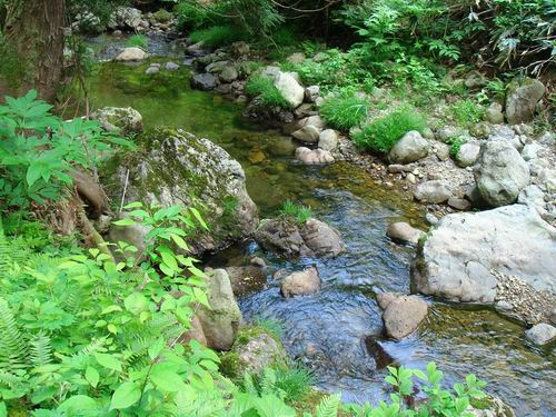 渓流1.JPG