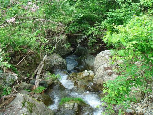 渓流3.JPG