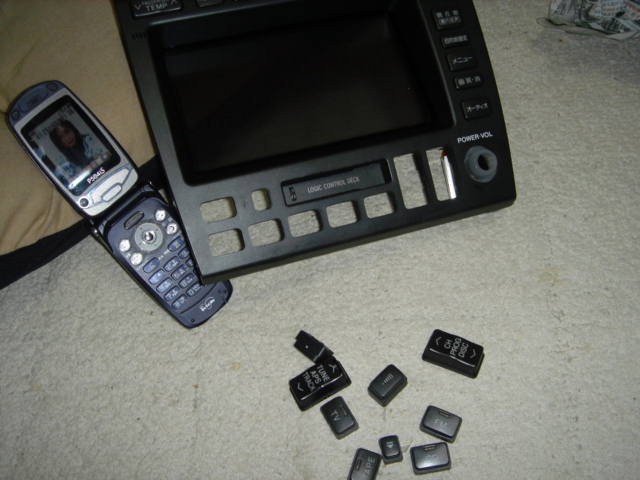 ぶんかいちゅう