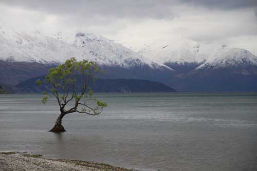 ニュージーランドワナカ湖２