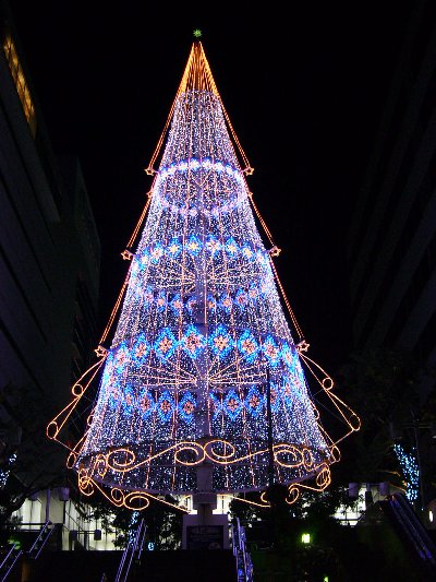 浜松駅前のクリスマスツリー