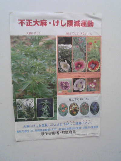 ■薬物知識■　公共施設に貼られてた、大麻撲滅ポスター。薬物啓蒙とは。