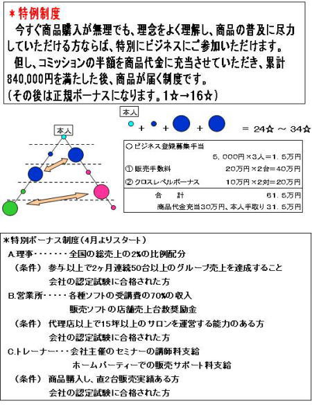 ピラミッド型の販売網を持つ会社　【その２】