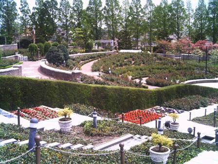 バラ公園　１
