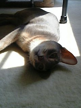 070727_134435