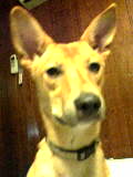2005-09-25 01:20:49