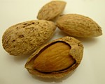 almond_shell02.jpg