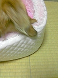 あ～あ。。。