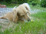 y-P1000403.jpg