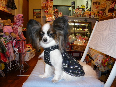 まおちゃん、着せ替え中。