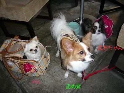 africaにて。ミニオフ会でした。(08.2/19)