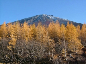 富士山